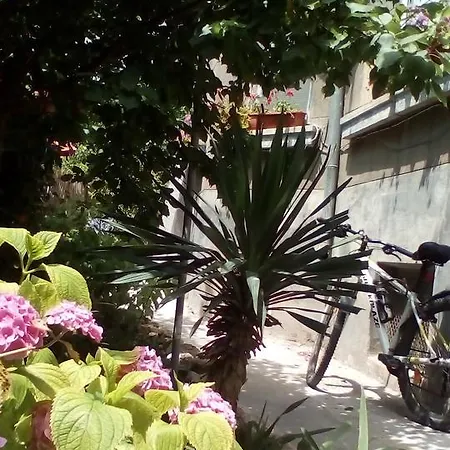 House Oasis Πανσιόν *